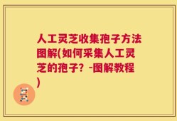 人工灵芝收集孢子方法图解(如何采集人工灵芝的孢子？-图解教程)