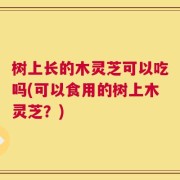 树上长的木灵芝可以吃吗(可以食用的树上木灵芝？)