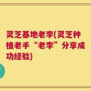 灵芝基地老李(灵芝种植老手“老李”分享成功经验)