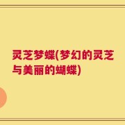灵芝梦蝶(梦幻的灵芝与美丽的蝴蝶)
