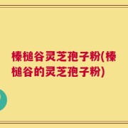 榛槌谷灵芝孢子粉(榛槌谷的灵芝孢子粉)