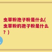虫草粉孢子粉是什么(虫草粉的孢子粉是什么？)