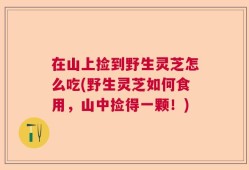 在山上捡到野生灵芝怎么吃(野生灵芝如何食用，山中捡得一颗！)