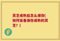 灵芝成熟后怎么保存(如何妥善保存成熟的灵芝？)