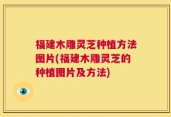 福建木雕灵芝种植方法图片(福建木雕灵芝的种植图片及方法)