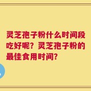 灵芝孢子粉什么时间段吃好呢？灵芝孢子粉的最佳食用时间？