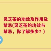 灵芝茶的功效及作用及禁忌(灵芝茶的功效与禁忌，你了解多少？)
