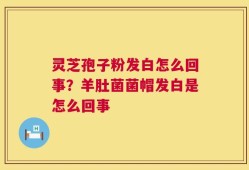 灵芝孢子粉发白怎么回事？羊肚菌菌帽发白是怎么回事