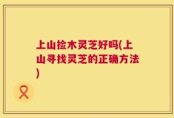 上山捡木灵芝好吗(上山寻找灵芝的正确方法)
