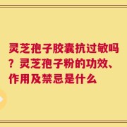 灵芝孢子胶囊抗过敏吗？灵芝孢子粉的功效、作用及禁忌是什么