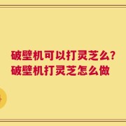 破壁机可以打灵芝么？破壁机打灵芝怎么做