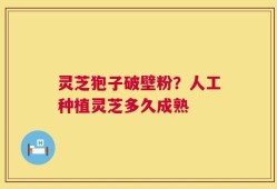 灵芝狍子破壁粉？人工种植灵芝多久成熟