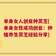 单身女人创业种灵芝(单身女性成功创业：种植养生灵芝经验分享)