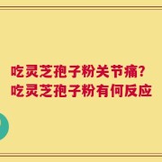 吃灵芝孢子粉关节痛？吃灵芝孢子粉有何反应