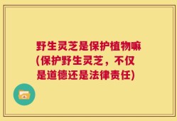 野生灵芝是保护植物嘛(保护野生灵芝，不仅是道德还是法律责任)