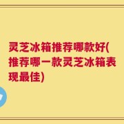 灵芝冰箱推荐哪款好(推荐哪一款灵芝冰箱表现最佳)