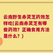 云南野生赤灵芝药效怎样吃(云南赤灵芝有哪些药效？正确食用方法是什么？)