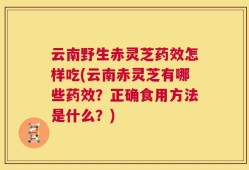 云南野生赤灵芝药效怎样吃(云南赤灵芝有哪些药效？正确食用方法是什么？)