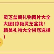 灵芝盆栽礼物图片大全大图(惊艳灵芝盆栽！精美礼物大全供您选择)