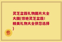 灵芝盆栽礼物图片大全大图(惊艳灵芝盆栽！精美礼物大全供您选择)