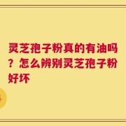 灵芝孢子粉真的有油吗？怎么辨别灵芝孢子粉好坏