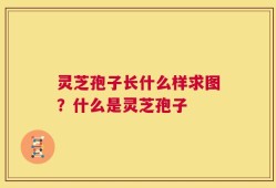 灵芝孢子长什么样求图？什么是灵芝孢子