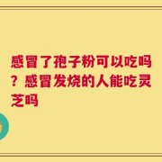 感冒了孢子粉可以吃吗？感冒发烧的人能吃灵芝吗