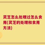 灵芝怎么处理过怎么食用(灵芝的处理和食用方法)