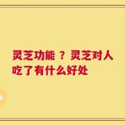 灵芝功能 ？灵芝对人吃了有什么好处