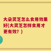 大朵灵芝怎么食用效果好(大灵芝怎样食用才更有效？)