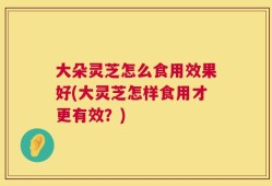 大朵灵芝怎么食用效果好(大灵芝怎样食用才更有效？)