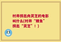 村井捞出肉灵芝的电影叫什么(村井“鲤鱼”捞出“灵芝”！)