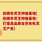 抚顺市灵芝种植基地(抚顺市灵芝种植基地：打造高品质自然有机灵芝产业)