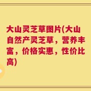 大山灵芝草图片(大山自然产灵芝草，营养丰富，价格实惠，性价比高)
