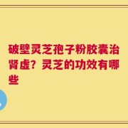破壁灵芝孢子粉胶囊治肾虚？灵芝的功效有哪些