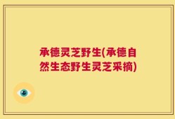 承德灵芝野生(承德自然生态野生灵芝采摘)