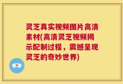 灵芝真实视频图片高清素材(高清灵芝视频揭示配制过程，震撼呈现灵芝的奇妙世界)