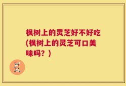 枫树上的灵芝好不好吃(枫树上的灵芝可口美味吗？)