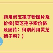 药用灵芝孢子粉图片及价格(灵芝孢子粉价格及图片：何谓药用灵芝孢子粉？)