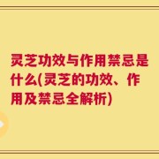 灵芝功效与作用禁忌是什么(灵芝的功效、作用及禁忌全解析)