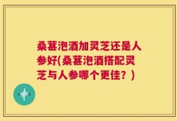 桑葚泡酒加灵芝还是人参好(桑葚泡酒搭配灵芝与人参哪个更佳？)
