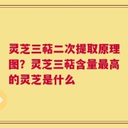 灵芝三萜二次提取原理图？灵芝三萜含量最高的灵芝是什么