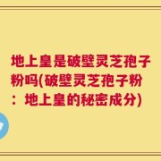 地上皇是破壁灵芝孢子粉吗(破壁灵芝孢子粉：地上皇的秘密成分)