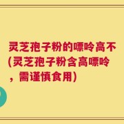 灵芝孢子粉的嘌呤高不(灵芝孢子粉含高嘌呤，需谨慎食用)