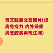灵芝胶囊文案图片(提高免疫力 内外兼修 灵芝胶囊再现江湖)