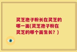 灵芝孢子粉长在灵芝的哪一面(灵芝孢子粉在灵芝的哪个面生长？)
