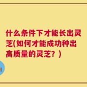 什么条件下才能长出灵芝(如何才能成功种出高质量的灵芝？)