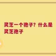 灵芝一个孢子？什么是灵芝孢子