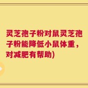 灵芝孢子粉对鼠灵芝孢子粉能降低小鼠体重，对减肥有帮助)