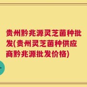 贵州黔兆源灵芝菌种批发(贵州灵芝菌种供应商黔兆源批发价格)